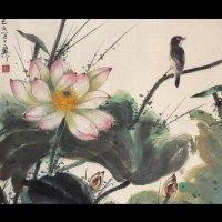 李金火