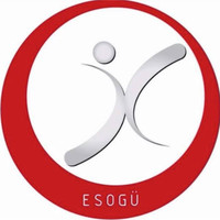 ESOGÜ İnşaat Kulübü