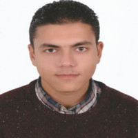 Mostafa Mohamed