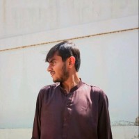 Muhammad Hamza Naeem