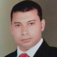 Nagy Abdelhady