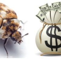 Bugz Bountyz