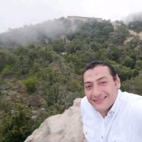 mohamed hamada
