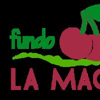 Fundo La Macarena Inmobiliaria e Inversiones el Roble