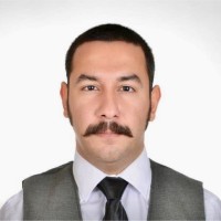 Bulut S. Yildiz