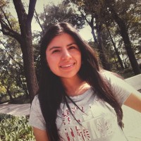 Paola Andrea Mendivelso Juya
