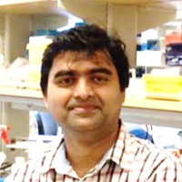 Mohammed Iqbal Hossain