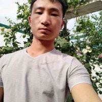杨强强