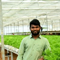 Harish Reddy kaki