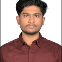 Vignesh P