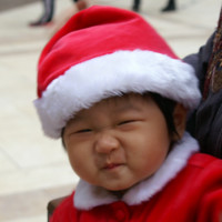 Voilis Tsui