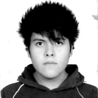 Johan Leonardo Flores Morales