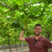 Enrique Salvador Giménez