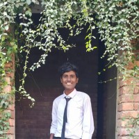 N. Vasanth kumar