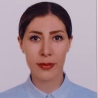 Atefeh Mohammadi