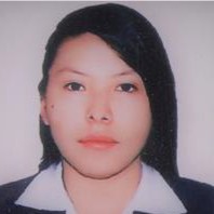 Briseida danitza Sotelo Castro