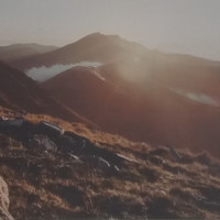 leonardo  enrique sepulveda oñate