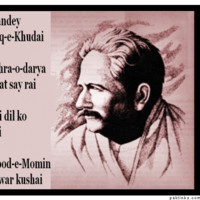 Qasim Ansari