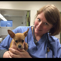 Michelle Gengler Dvm