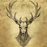 Lorem Ipsum