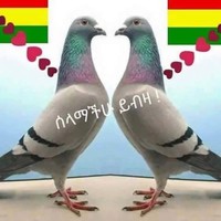 Birhanu belachew