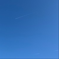 肖子健