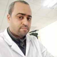 Mohamed Anis Bouraoui