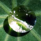 Organic Design