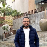 Fady Girgis