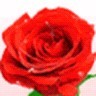 Aye Thandar Tun
