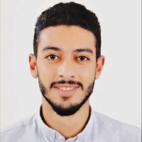 Hassan Amer