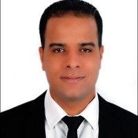 Ayman Ali
