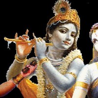 Bijanesh Rajpoot