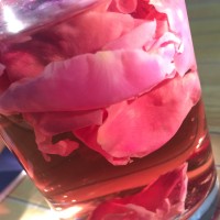 黄艳春