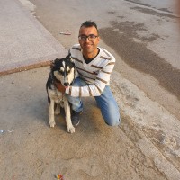 MOHAMED Manso