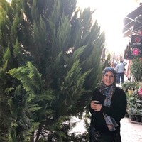Nada Farid