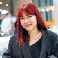 Phuong Anh Vu