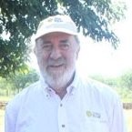 David Katz