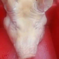 李晓周