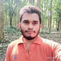 Vikash Kumar Baghel