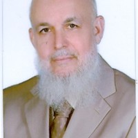 Saleh Marey