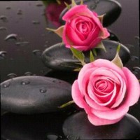 Carol Fluker