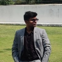 Kaushik P