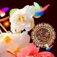 Sajida Muhammad Javed