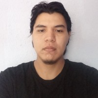 Luis Fernando Castro Fuentes