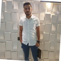 Mohammad Abd Elwahed