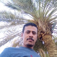 Ali Kareem