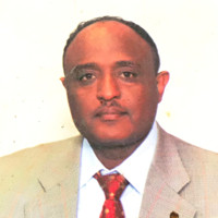 Shimelis Meskellie