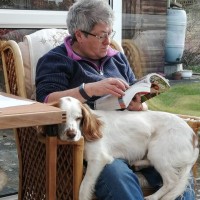 Carole Norrie
