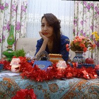 Simin Youseflou